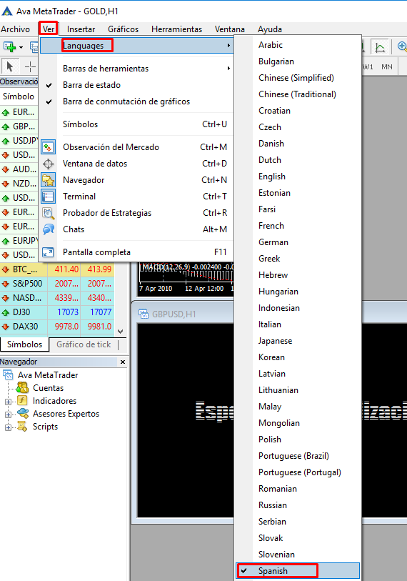 lenguaje_mt4.png