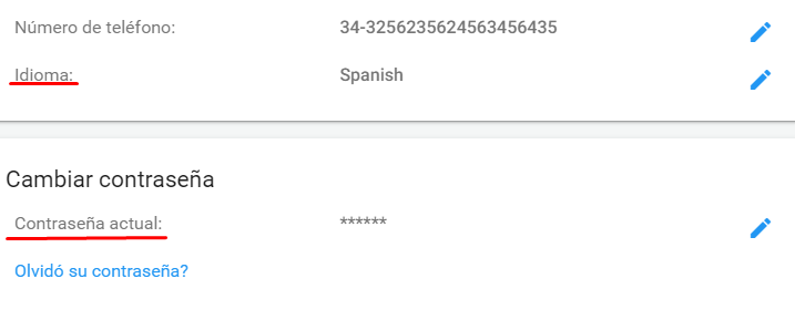 idioma_cambiado.png