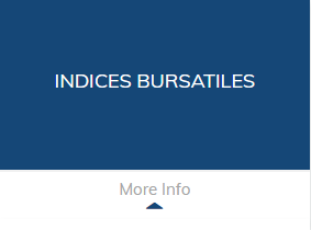 stock_es.PNG