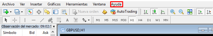 Mt4_Ayuda.png